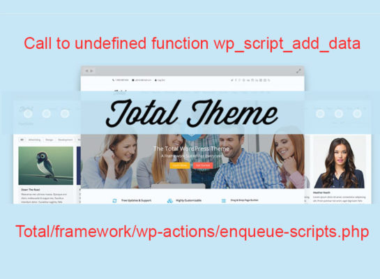 Total Theme: Call to undefined function wp_script_add_data FIX